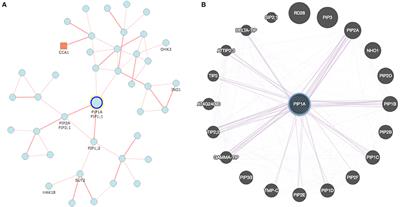 Plant Aquaporins: Genome-Wide Identification, Transcriptomics, Proteomics, and Advanced Analytical Tools